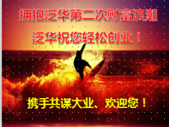泛华企业集团简介介绍截图版18页.ppt