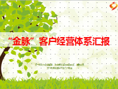金脉客户经营体系项目背景内容成效下步设想24页.ppt