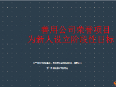 主管善用公司榮譽(yù)項(xiàng)目為新人設(shè)立階段性目標(biāo)22頁.ppt