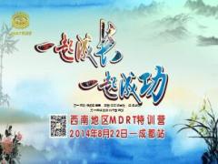 连续三年MDRT顶尖会员经典话术泰康高水玲41页.ppt