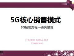 5G銷售流程通關(guān)準備介紹及標準6頁.ppt