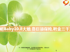 黃曉明Baby1008大婚備巨額保險(xiǎn)11頁.ppt