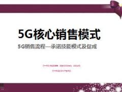 5G銷售流程承諾技能模式及促成話術(shù)演練13頁.ppt