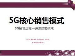 5G銷售流程篩選技能模式及話術(shù)演練10頁.ppt