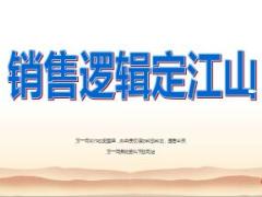 銷售健康理念邏輯保險感悟31頁.ppt