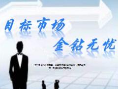 确定目标市场深度挖掘及管理19页.ppt