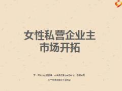 女性私营企业主市场渠道开拓分享30页.ppt