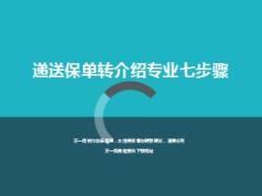 专业七步骤达成递送保单转介绍22页.ppt