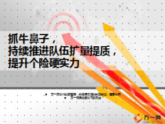 提升個險硬實力持續(xù)推進隊伍擴量提質要點困惑29頁.ppt