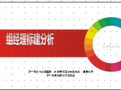 組經(jīng)理標建分析方案回顧三體人力指標16頁.ppt