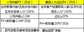 營(yíng)業(yè)區(qū)經(jīng)營(yíng)標(biāo)準(zhǔn)化手冊(cè)百區(qū)試點(diǎn)推動(dòng)評(píng)分明細(xì)表.xls