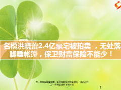 2.4亿豪宅被拍卖名模洪晓蕾无处落脚睡帐篷12页.ppt