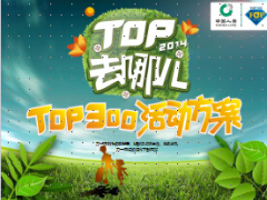 2015年度TOP300活动方案宣导14页.ppt