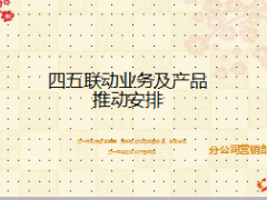 四五联动业务及产品推动安排21页.ppt