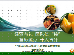 分公司2015年5月个险渠道营销操作案24页.ppt