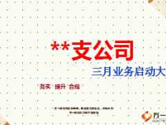 支公司三月启动会灯片业务方案69页.ppt