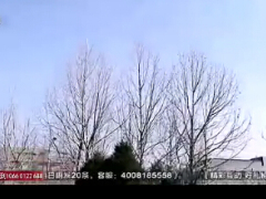 励志视频无臂美女雷庆瑶变美的权利.rar