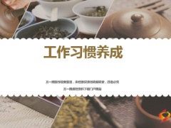 工作習(xí)慣養(yǎng)成主管操作要點(diǎn)與課堂演練19頁.ppt