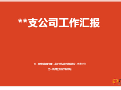 中支一季度保費達成分析措施二季度規(guī)劃12頁.ppt