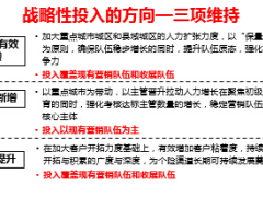 2015個(gè)險(xiǎn)渠道戰(zhàn)略性方案設(shè)置思路14頁.ppt