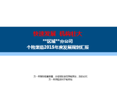 個(gè)險(xiǎn)渠道2015年度發(fā)展規(guī)劃匯報(bào)關(guān)鍵舉措18頁.ppt