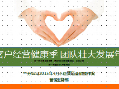 分公司2015年月度个险渠道营销操作案经营健康季16页.ppt