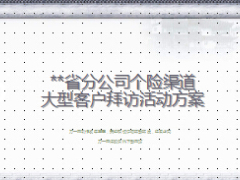 省分公司个险渠道大型客户拜访活动方案12页.ppt