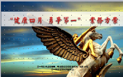 省分公司四月业务方案52页.ppt