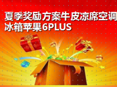 夏季奖励方案牛皮凉席空调冰箱苹果6PLUS46页.ppt
