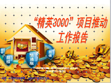 精英3000入围方案达成现状项目推动23页.ppt