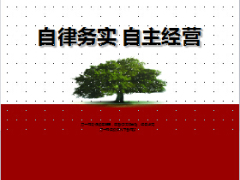 中支個(gè)險(xiǎn)團(tuán)隊(duì)分享自主經(jīng)營(yíng)30頁(yè).ppt