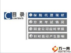 论北京地区销售资质分类管理带来的影响16页.ppt