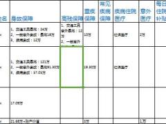 初級(jí)主管育成班2隨堂講義客戶保單整理保額匯總表4頁(yè).xls