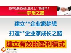 国寿企业家7基本法晋升起飞培训28页.ppt