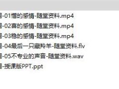 初级电销研修2声音训练之语气语调课件及随堂影音资料.rar