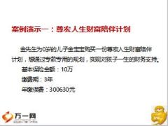 尊宏人生产品组合案例分析19页.ppt