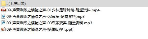 初级电销研修2声音训练之情绪之声课件随堂影音资料.rar