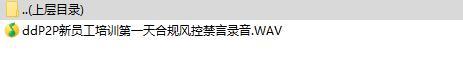 P2P新员工培训1第一天合规风控禁言录音.rar