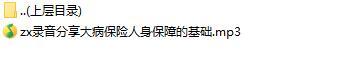 录音分享大病保险人身保障的基础.rar