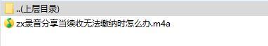 录音分享当续收无法缴纳时怎么办.rar