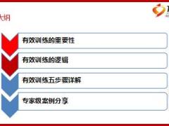 個險初級主管晉級培訓(xùn)10有效訓(xùn)練邏輯五步驟33頁.ppt