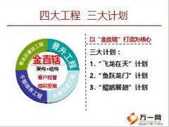 新籌團隊建設(shè)引進與鍛造計劃13頁.ppt