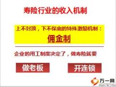 保险村官1国寿企业家之路项目介绍演算49页.ppt