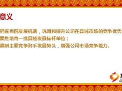 分公司百强县支创建方案介绍22页.ppt