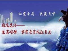 开门红百万突击队宣导教案国寿版41页.ppt