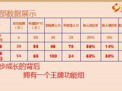 保險精英分享功能組搭建成就高品質(zhì)平臺35頁.ppt