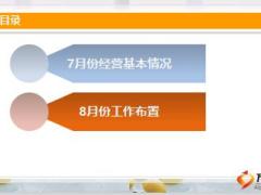 月度工作汇报模板总结规划团险团拓部23页.ppt