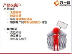 P2P风控管理风险运营流程及模式14页.ppt