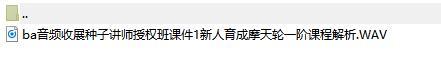 音频收展种子讲师授权班课件1新人育成摩天轮一阶课程解析.rar