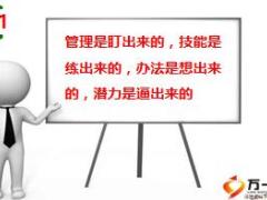 保險(xiǎn)業(yè)團(tuán)隊(duì)養(yǎng)鷹計(jì)劃理念篇16頁.ppt